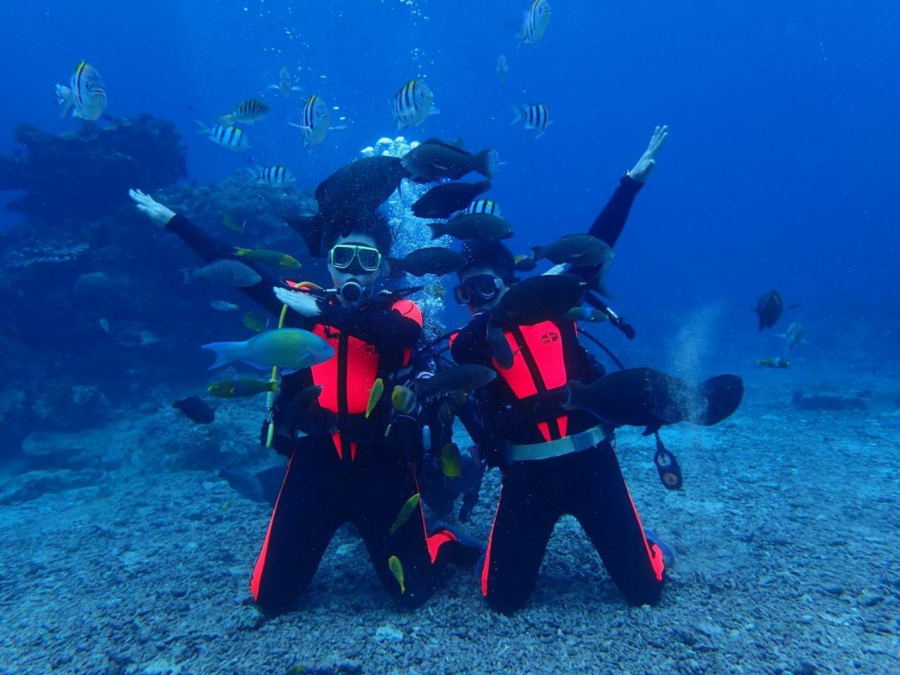 Qing Feng Diving B&B Yeşil Ada Dış mekan fotoğraf