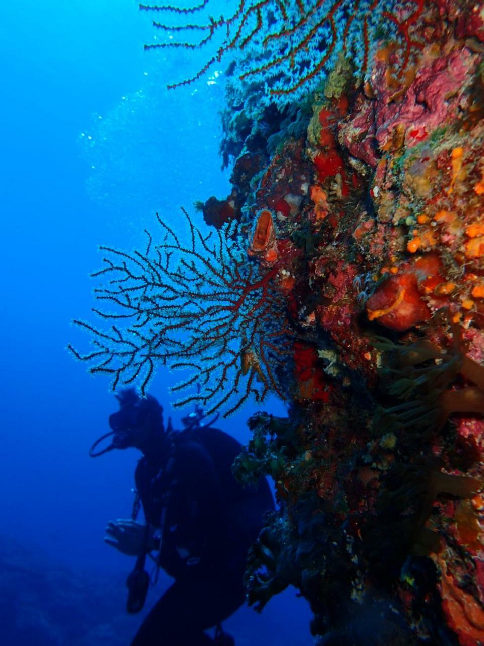 Qing Feng Diving B&B Yeşil Ada Dış mekan fotoğraf